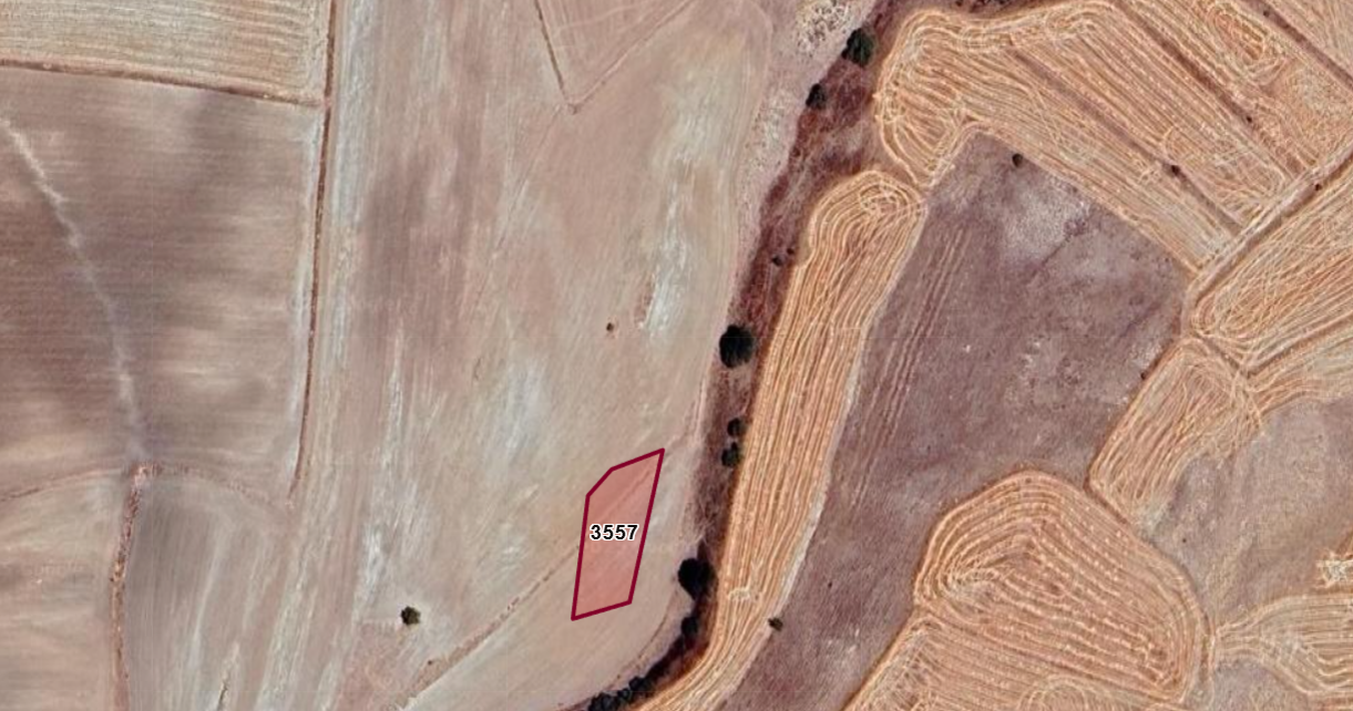 KAYSERİ BÜNYAN HAZERŞAH  KÖYÜNDE  1.000  M² TARLA SATILIKTIR
